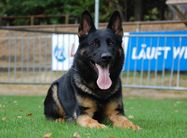 gXsRN130AhCCmuN6sZP39esVymeFvf-VQCoxUubREFo,